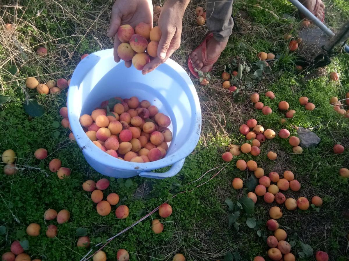 In Apple Estate Kanatal Esterno foto