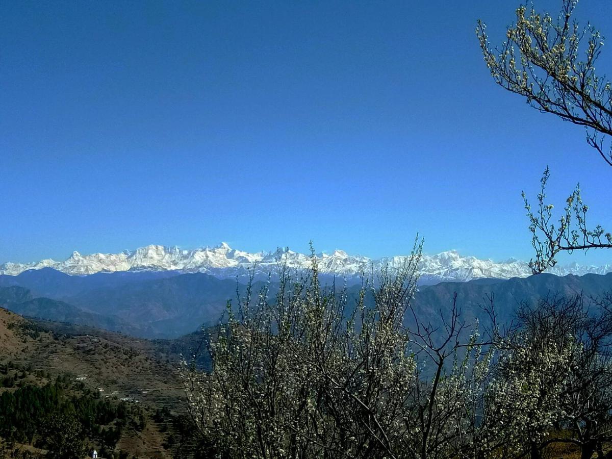 In Apple Estate Kanatal Esterno foto