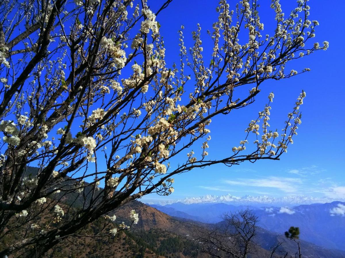 In Apple Estate Kanatal Esterno foto
