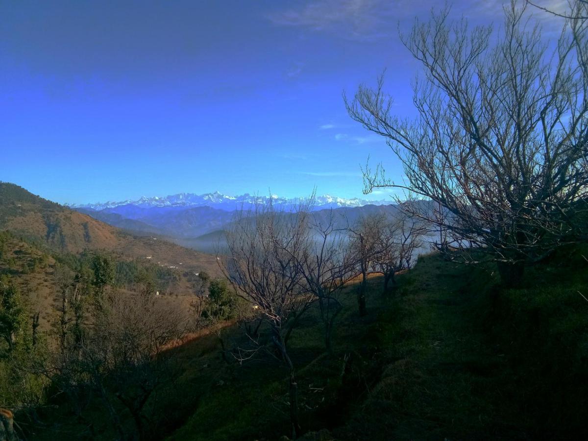In Apple Estate Kanatal Esterno foto